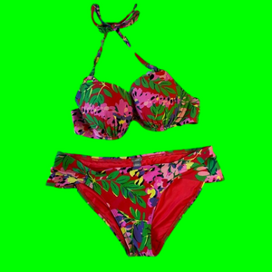 Aerie Floral Bikini Bathing Suit 34D/Large